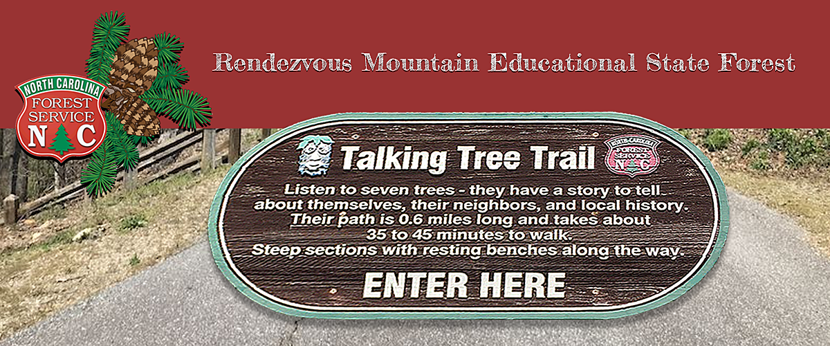 Rendezvous Mountain Educational State Forest Rendezvous Mountain Educational State Forest